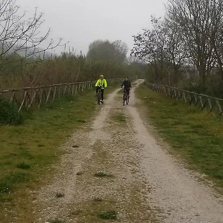 Mellon 3* Colli del Tronto