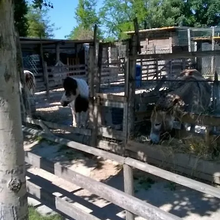 Bed & Breakfast Mellon Colli del Tronto